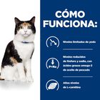 Hill's Prescription Diet Thyroid Care y/d pienso para gatos, , large image number null
